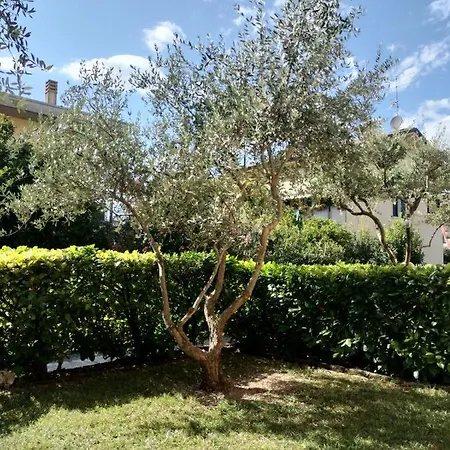 Apartament Casasimona *